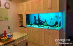 大型观赏鱼缸定做办公室水族箱 生态鱼缸嵌入式水族箱