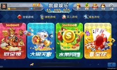 安徽神游网络手机游戏开发