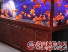 北京清洗鱼缸 更换滤材 鱼缸搬家维护